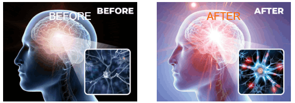 NTX NeuroElite Cognitive Support 13